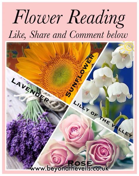 Flower Reading Spiritual Medium Angel Cards Psychic Readings