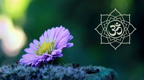 How To Use The Mantra Om And Its Benefits Zero Point Awakening