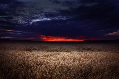 Dark Field Covered By Clouds Sunset 5k Hd Nature 4k