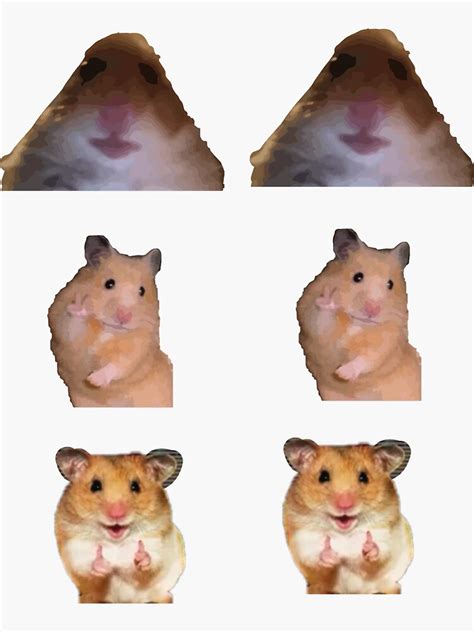 Hamster Staring Meme Sticker For Sale By Rhdmt Redbubble