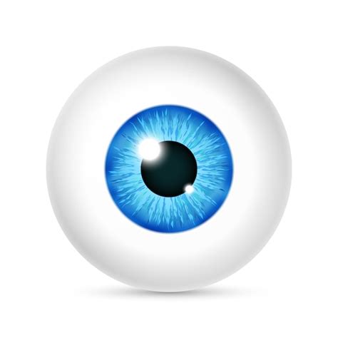 Vector Realistic Human Eyeball Vector Premium Download