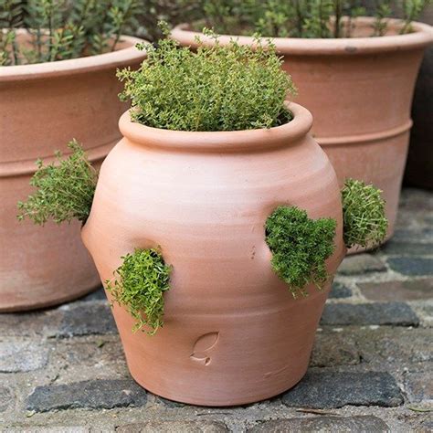 Terracotta Strawberry Planter Large Garden Plant