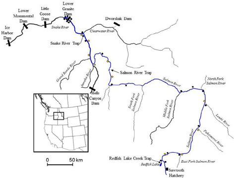 Map Of Study Area Showing Migratory Path Of Snake River Sockeye Salmon