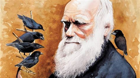 What is more, it combines a trading strategy managed by a trader with. Charles Darwin: The Brilliant Plodder | by David Quammen ...