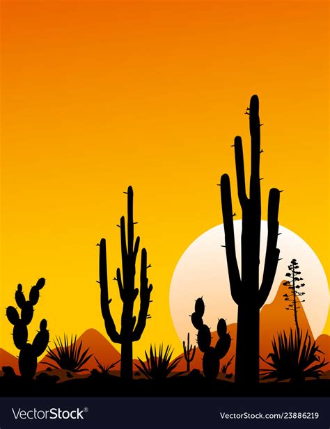 Mexico Desert Sunset 3 Desert Landscape With Cact Vector Image