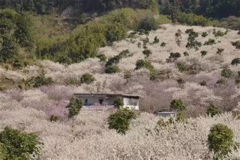 Jun 03, 2021 · 深圳本地宝频道提供南山区南科大二实验御景峰幼儿园2021年秋季学期招生简章有关的信息，南科大二实验御景峰幼儿园位于南山区桃源街道，是一所. 御景峰国家森林公园_广东惠州景点 - 114城市网