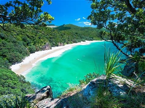 The Best Beaches In New Zealand Photos Condé Nast Traveler