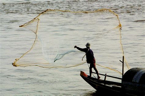 Whats At Stake For The Mekongs Fishery The Asean Post