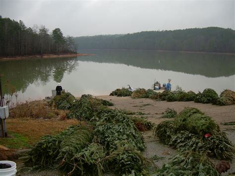 Smith lake was rated the #1 cleanest lake in the state of alabama and once you see the emerald green water. Winston County Natural Resources Council: Fish Structures ...