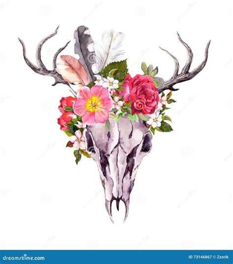 Deer Animal Skull Flowers Feathers Watercolor In Vintage Style