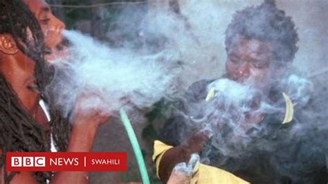 Kwa Nini Bangi Ni Muhimu Miongoni Mwa Marasta Tanzania Bbc News Swahili