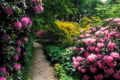 47 Beautiful Flower Garden Wallpapers On Wallpapersafari