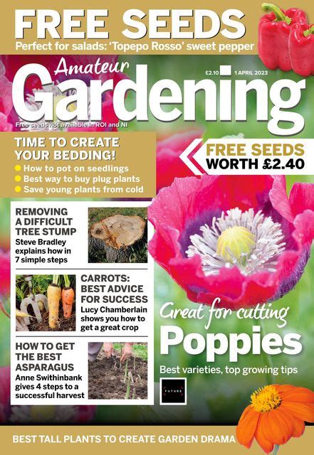 Gardening Magazines Yumpu News Magazine Subscription