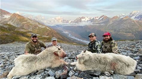 Mountain Goat Hunt With Barelas Alaskan Outfitters Outguided