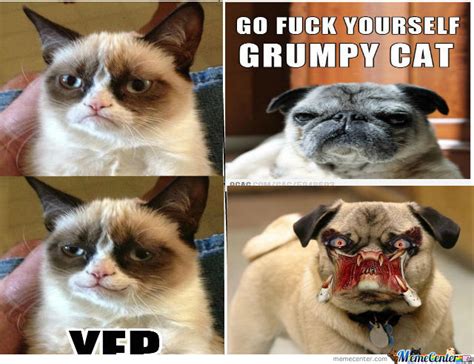 Grumpy Cat Does Smile By Ttrell3 Meme Center