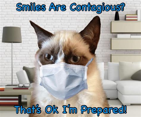 Smiles Are Contagious Thats Ok Grumpy Cat Is Prepared Cute Animal