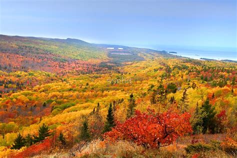 Beautiful Autumn Landscape By Snehit Redbubble