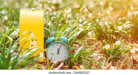 49533 Early Spring Weather Images Stock Photos And Vectors Shutterstock