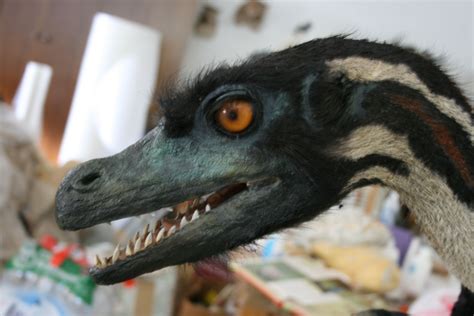 10 Facts About The Velociraptor Dinosaur
