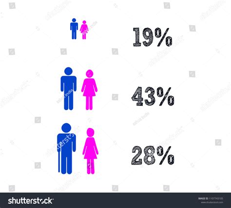 Conceptual Infographic Age Gender Chart Modern Stock Illustration