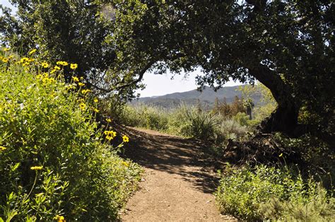 Hiking Path Free Stock Photo Public Domain Pictures