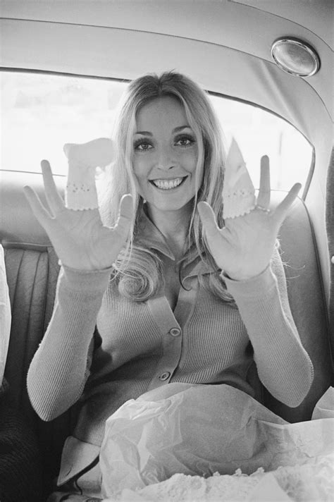 Sharon Tate Photo Gallery High Quality Pics Of Sharon Tate Theplace
