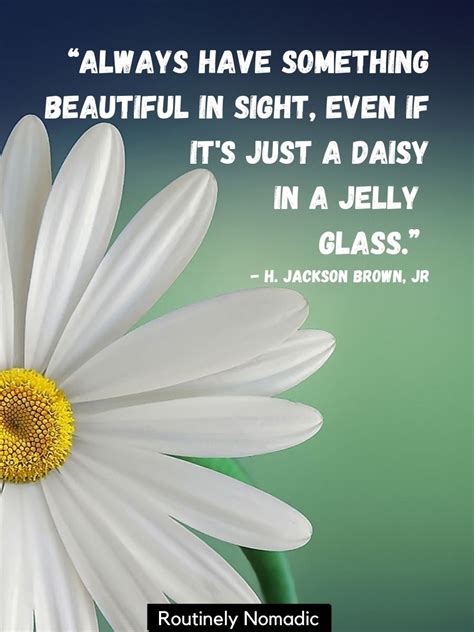 Lovely Daisy Quotes 115 Daisy Sayings Routinely Nomadic