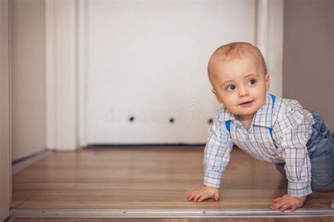 Baby Boy Crawling Stock Photo Image Of Innocence Lovely 49521328