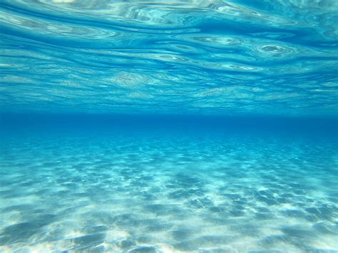 Clear Beach Underwater Photograph By Sammy Davis Iv Fine Art America