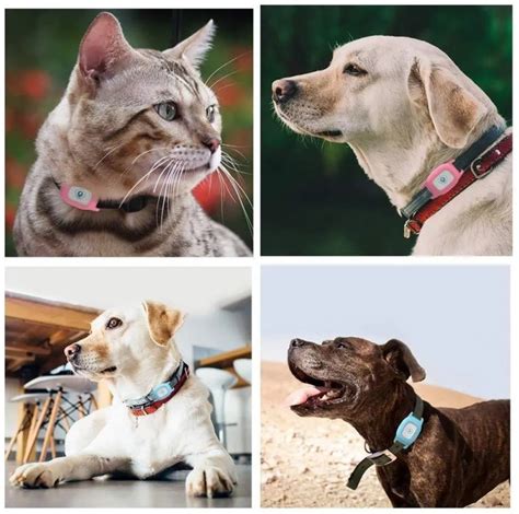 Cat Gps Tracker Collar Pet Location Tracking Device Modern Depot