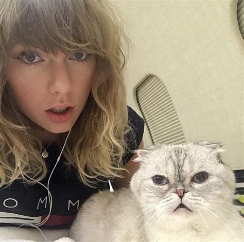 Taylor Swifts Cat Olivia Benson Is Worth A Whopping 97 Million Springtide Magazine