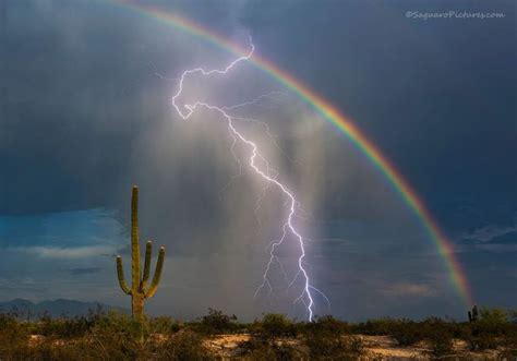 Lucky Strike Lightning Saguaro Pictures Lightning Photos