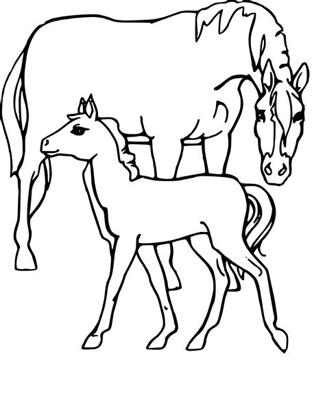 Coloriage Poulain et jument à imprimer
