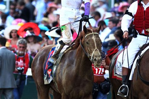 Kentucky Derby I Ll Have Another Pedigree Profile And Down The Stretch They Come