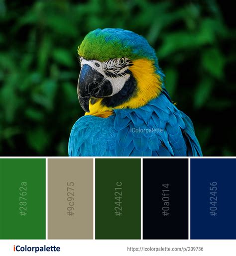 Color Palette ideas from 2161 Beak Images | iColorpalette ...
