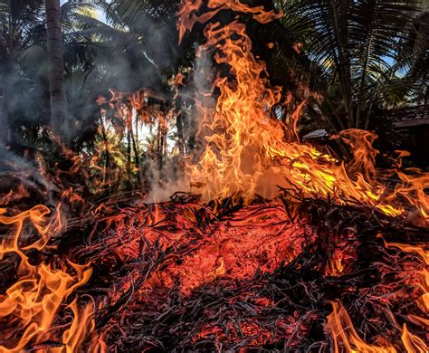 The Amazon Forest Fire Causes Deforestation And Drought A New Study