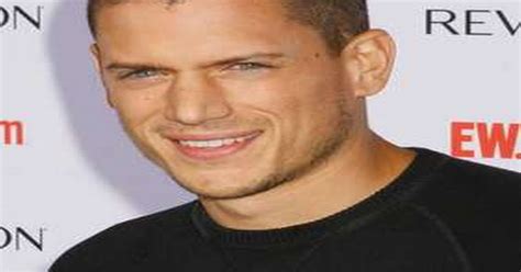 Wentworth Miller Comes Out As Gay Daily Star