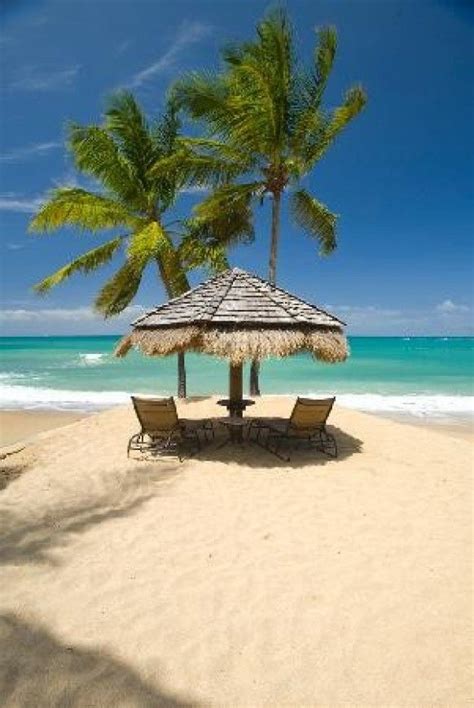 Saint lucie county board of county commissioners. Plage sur l'île de Sainte-Lucie, Caraïbes. Saint-Lucia ...