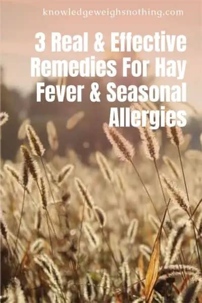 3 Natural And Effective Remedies For Seasonal Allergies