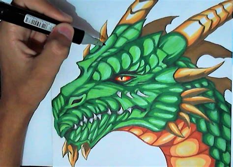 Dragon Drawing Color At Getdrawings Free Download