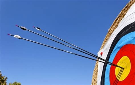 Archery ist der englische begriff für bogenschießen und bezeichnet eine praktik der nutzung eines bogens zum abschießen von pfeilen. Tiro con l'arco. Fabrizzi da Montalcino | Montalcino News