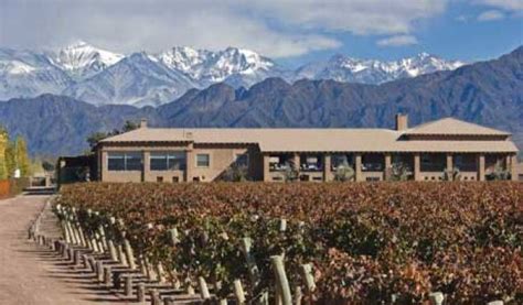 11 Must Visit Mendoza Wineries Winery Wine Region Wine Culture