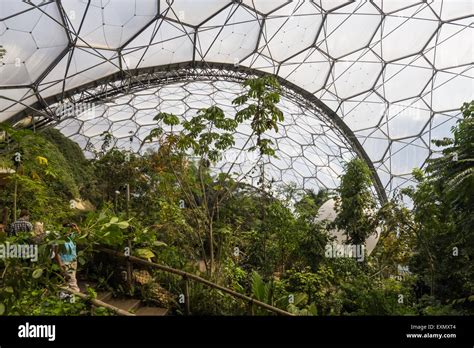 Eden Project Cornwall England Top View In Rainforest Biome Stock