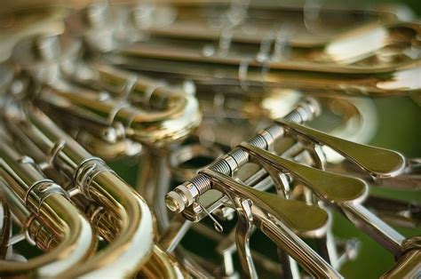 Classical Music Highlight A Lifelong Love Of The Horn Wshu