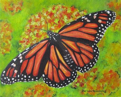 Monarch Butterfly Art Print Reproduction Of By Barbararosenzweig 37