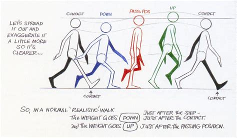 Walk Cycle Walking Animation Animation Walk Cycle Richard Williams Hot Sex Picture