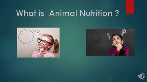 Nutrition In Animals Class 7 Part 1 Youtube