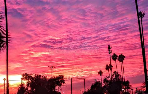 Arizona Sunset In Phoenix Stock Photo Image Of Beautiful 169642276