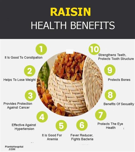 11 Incredible Health Benefits Of Raisins Thompson Seedless