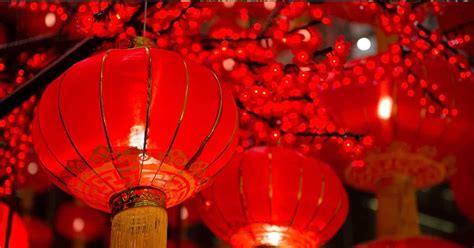 Hiasan Tahun Baru Cina Self Compassion Quotes Images